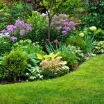Come progettare giardino
