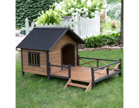 Box cani legno