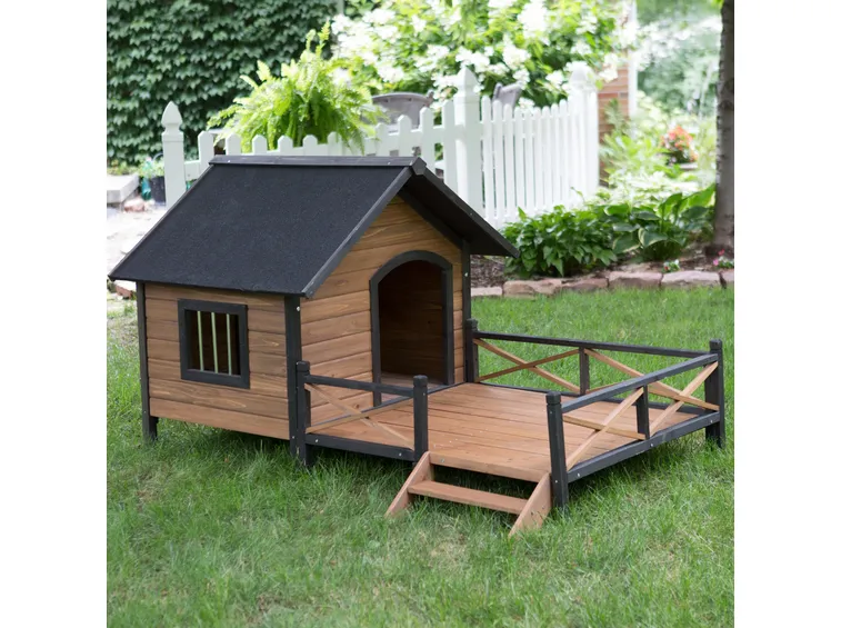 Box cani legno