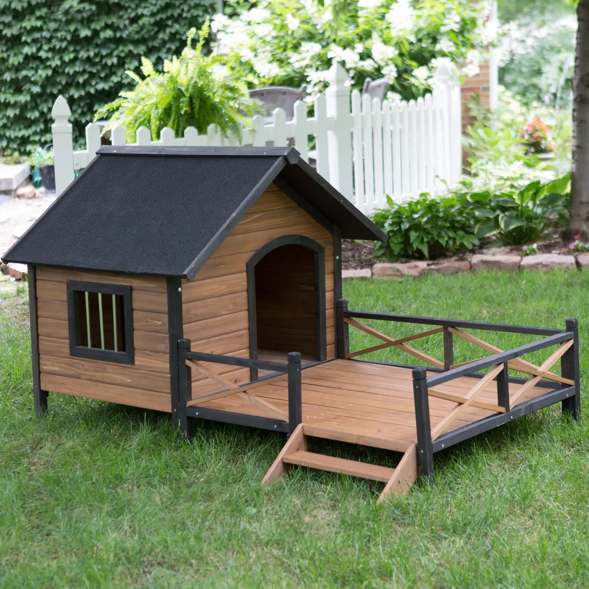 Box cani legno