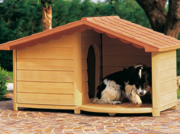 Un modello di cuccia per cani
