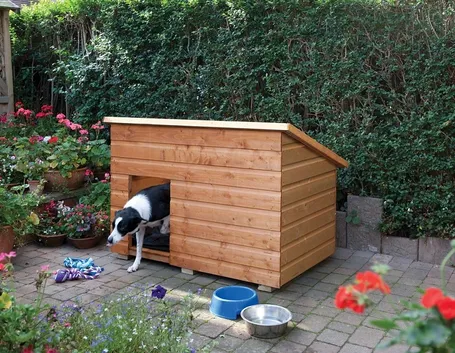 Cuccia per cane in legno