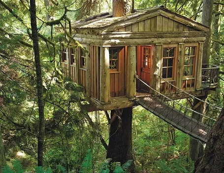 Casa sull'albero