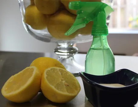 Antiparassitario limone