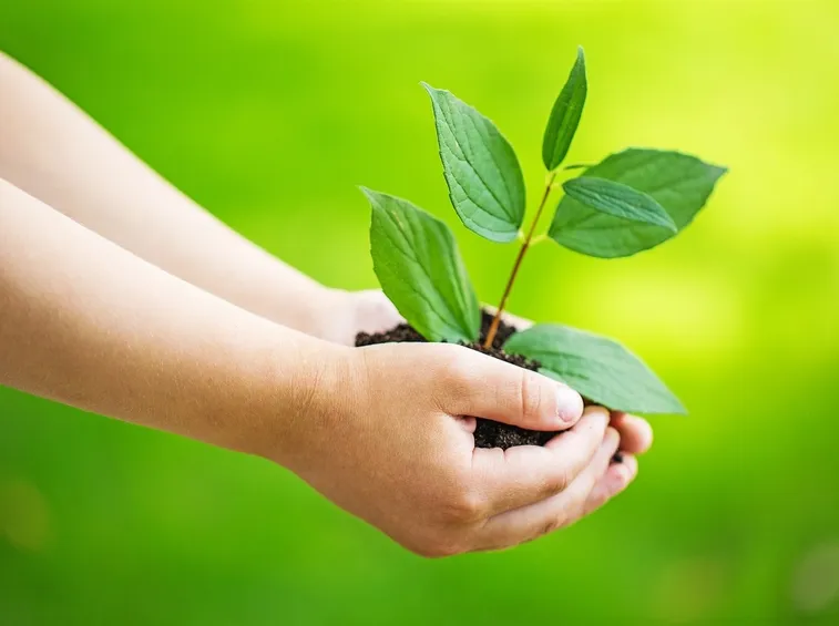 Antiparassitari ecologici
