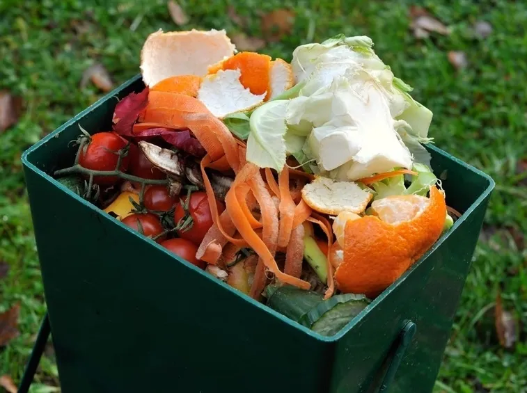 Scarti organici della cucina