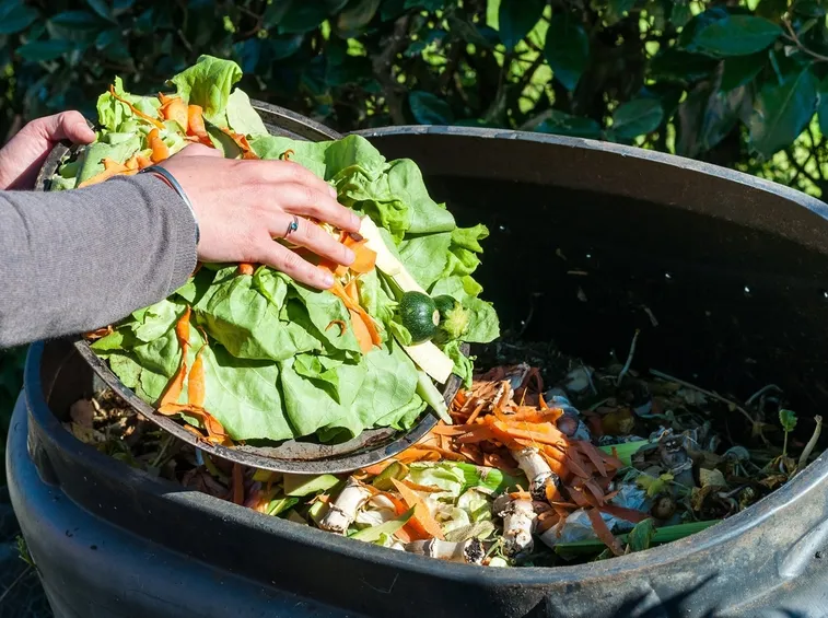 Composter