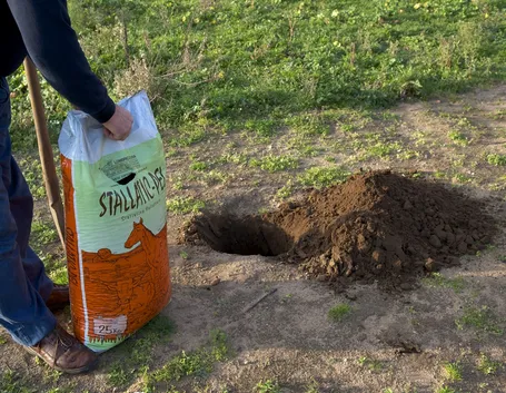 Concimazione del terreno in autunno