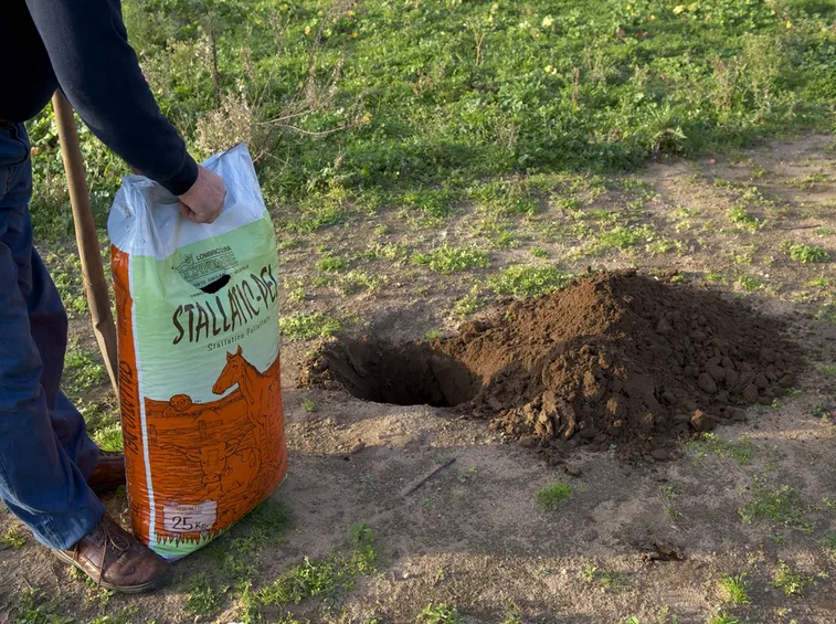 Concimazione del terreno in autunno