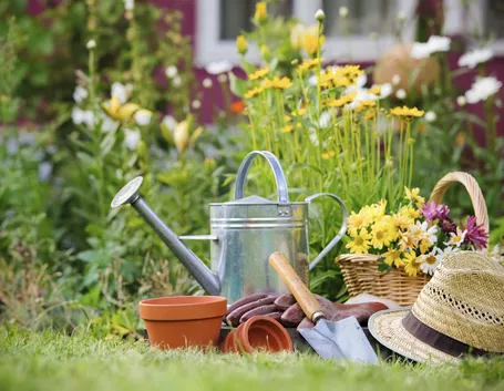 Importanza della concimazione nel giardinaggio