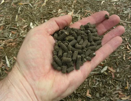 Fertilizzante organico in pellet