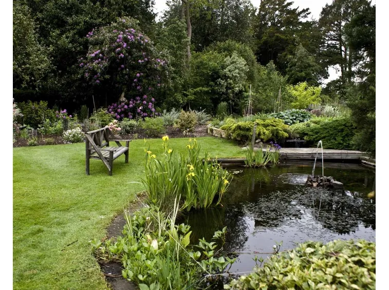 Giardino inglese stagno