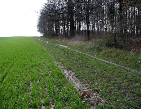 Il terreno argilloso trattiene l'acqua