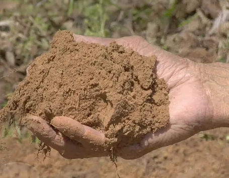 esempio di terreno limoso
