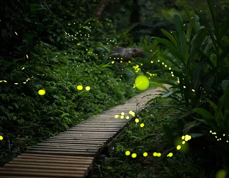 luci da giardino