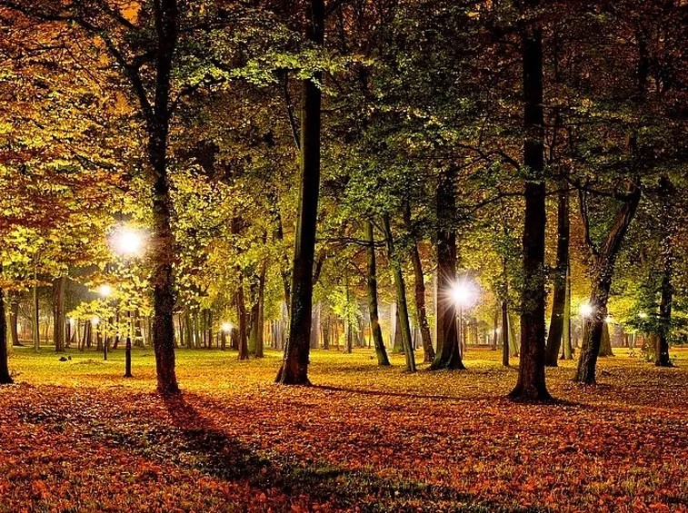 Luci da giardino agli alberi