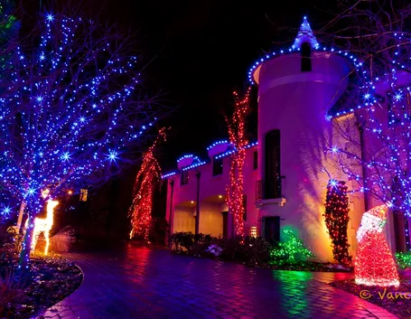 Addobbo con luci di natale per esterno