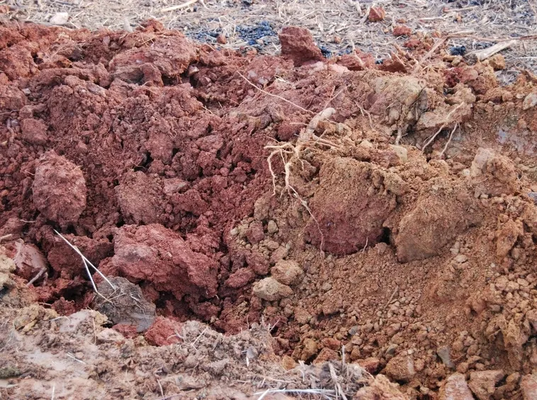 tipo di terreno calcareo