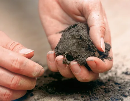 Terreno sabbioso