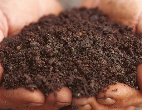 Terriccio universale di terreno