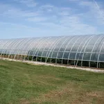 serra tunnel per grandi coltivazioni