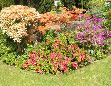 aiuola da giardino