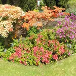 aiuola da giardino