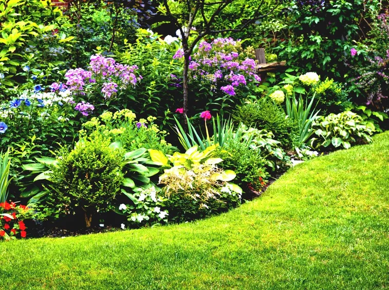 Aiuola da giardino colorata