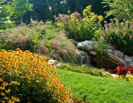 Giardino fiori