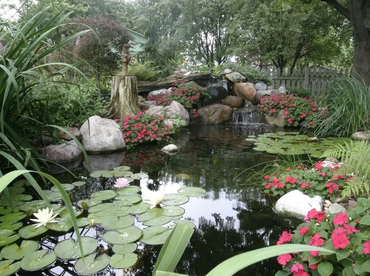 Giardino d'acqua