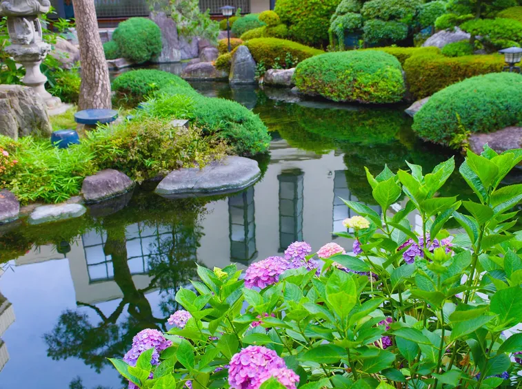 Favoloso giardino d'acqua