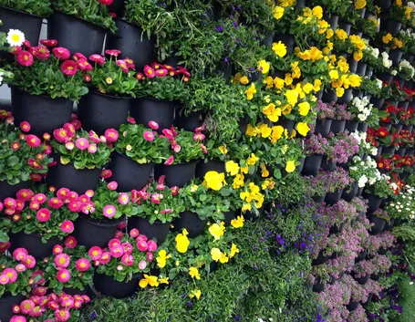 Giardino verticale