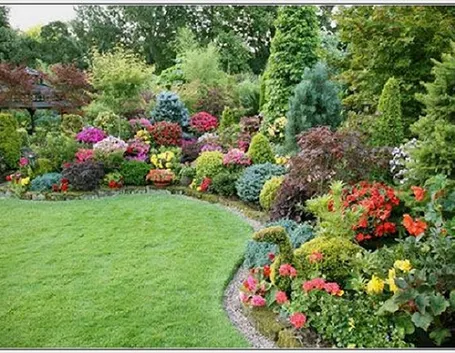 Varietà di piante da giardino