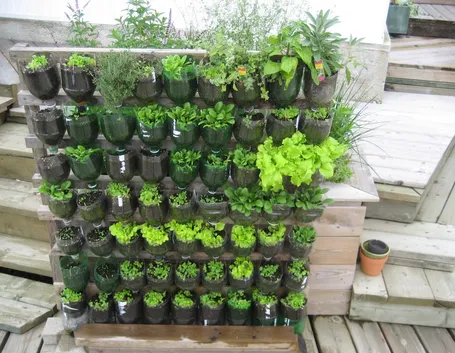 Giardino verticale