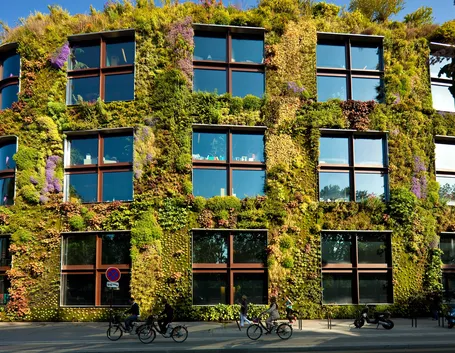 Parete verde su un edificio