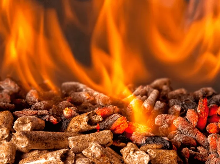 Pellet
