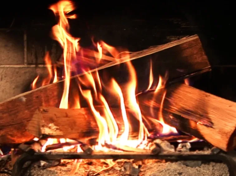 Combustione della legna per camino
