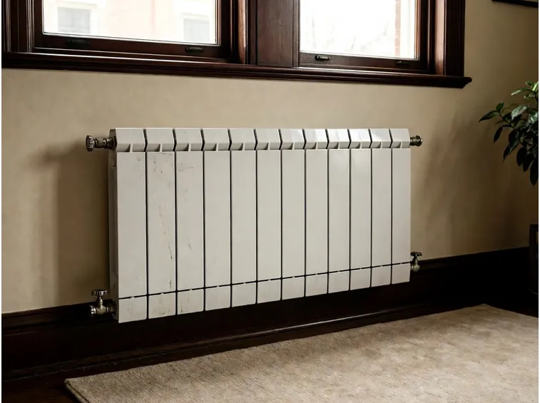 Termosifone da dodici moduli