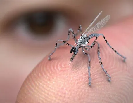 Come difendersi dalle zanzare