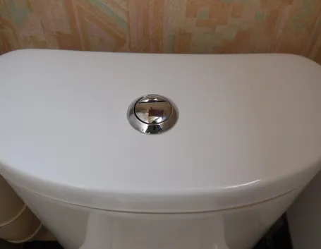 Cassetta con bottone per lo scarico del wc