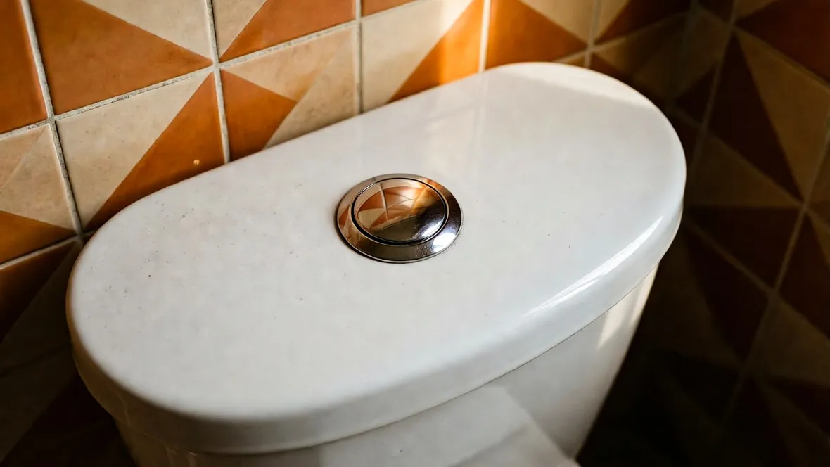 Cassetta con bottone per lo scarico del wc