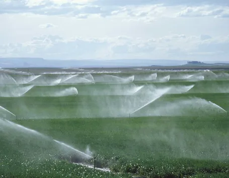 Impianto agricolo irrigazione a pioggia