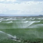 Impianto agricolo irrigazione a pioggia