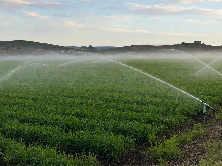 Impianto agricolo irrigazione a pioggia