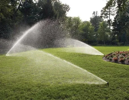 Giardino con irrigazione automatica