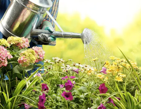 annaffiare fiori