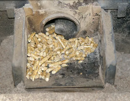 Il pellet da stufa