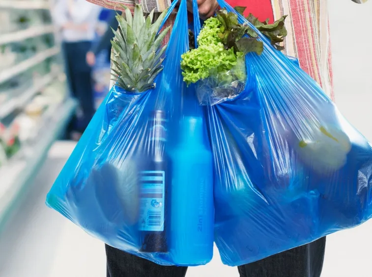 Sacchetti di plastica per la spesa