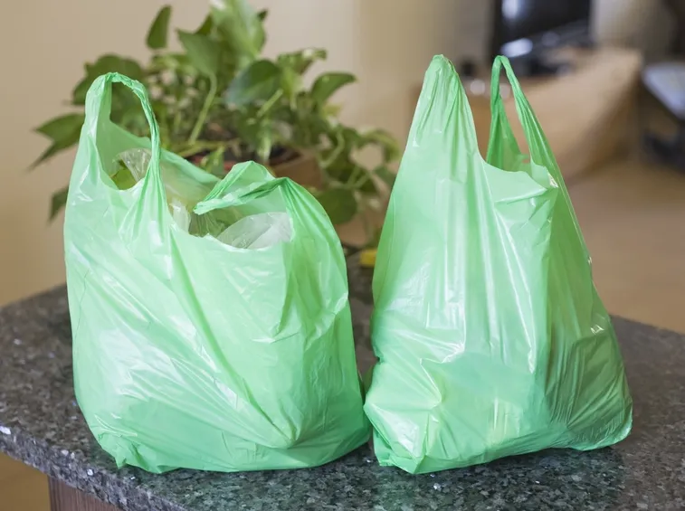 Sacchetti di plastica