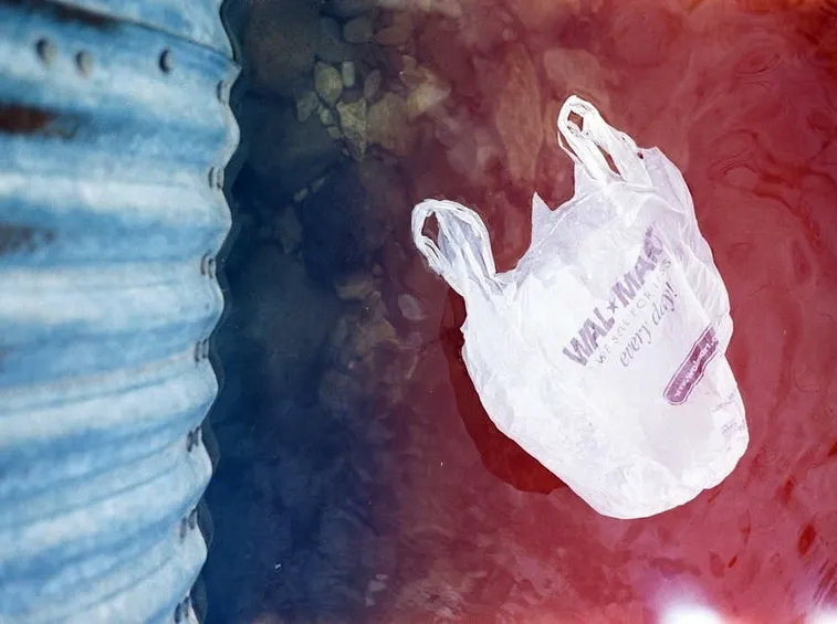 Inquinamento e sacchetti di plastica